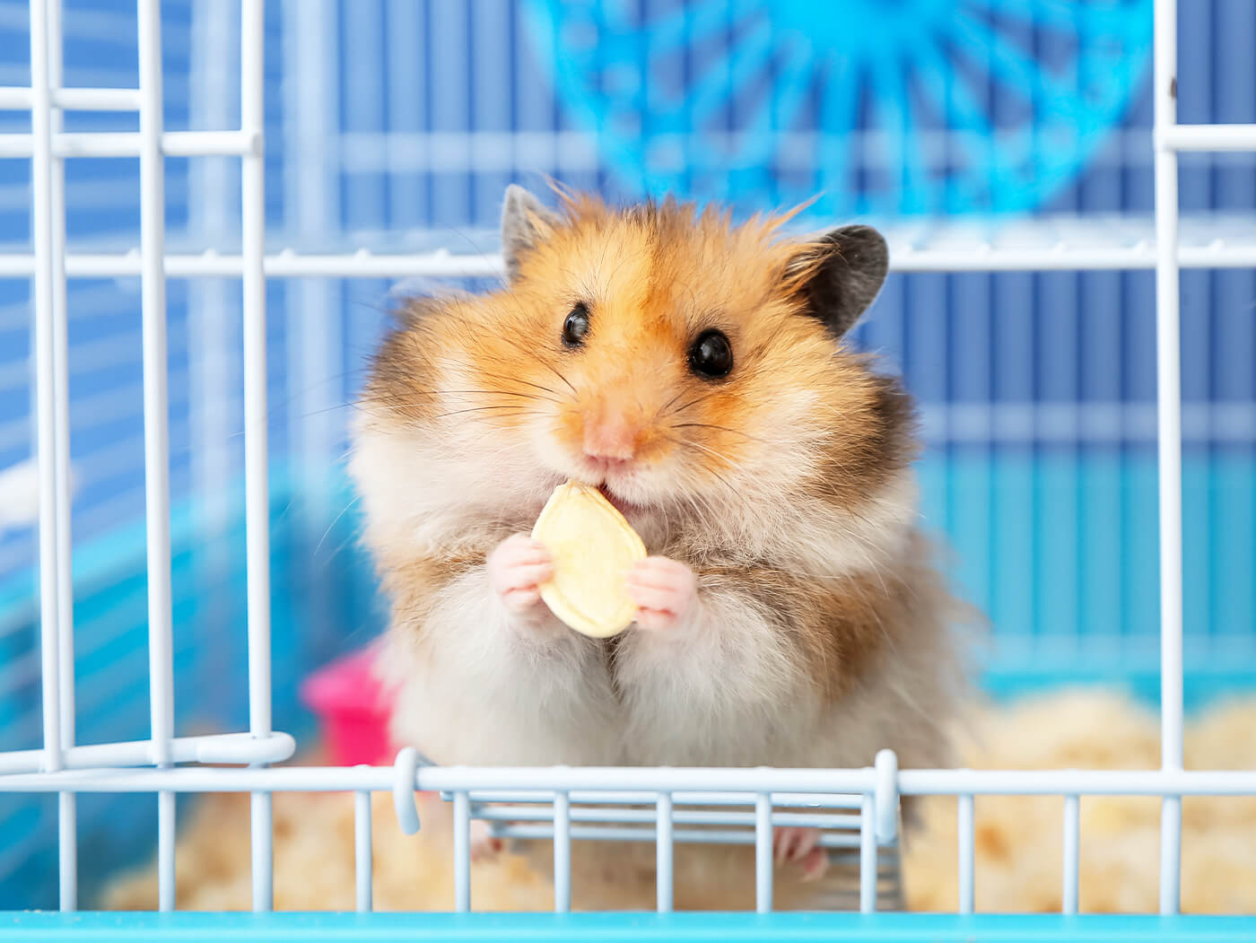 私たちについて画像